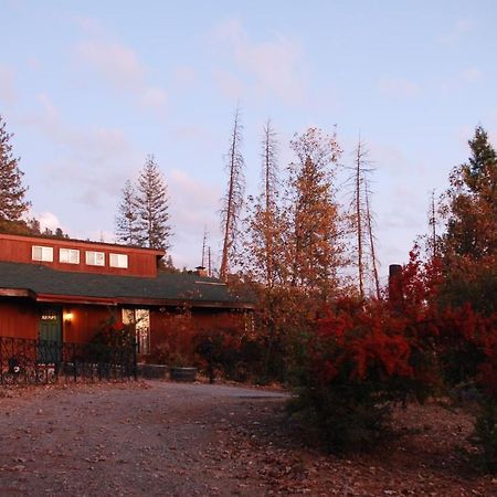 Sunny Pines Cottage Mariposa Exterior foto